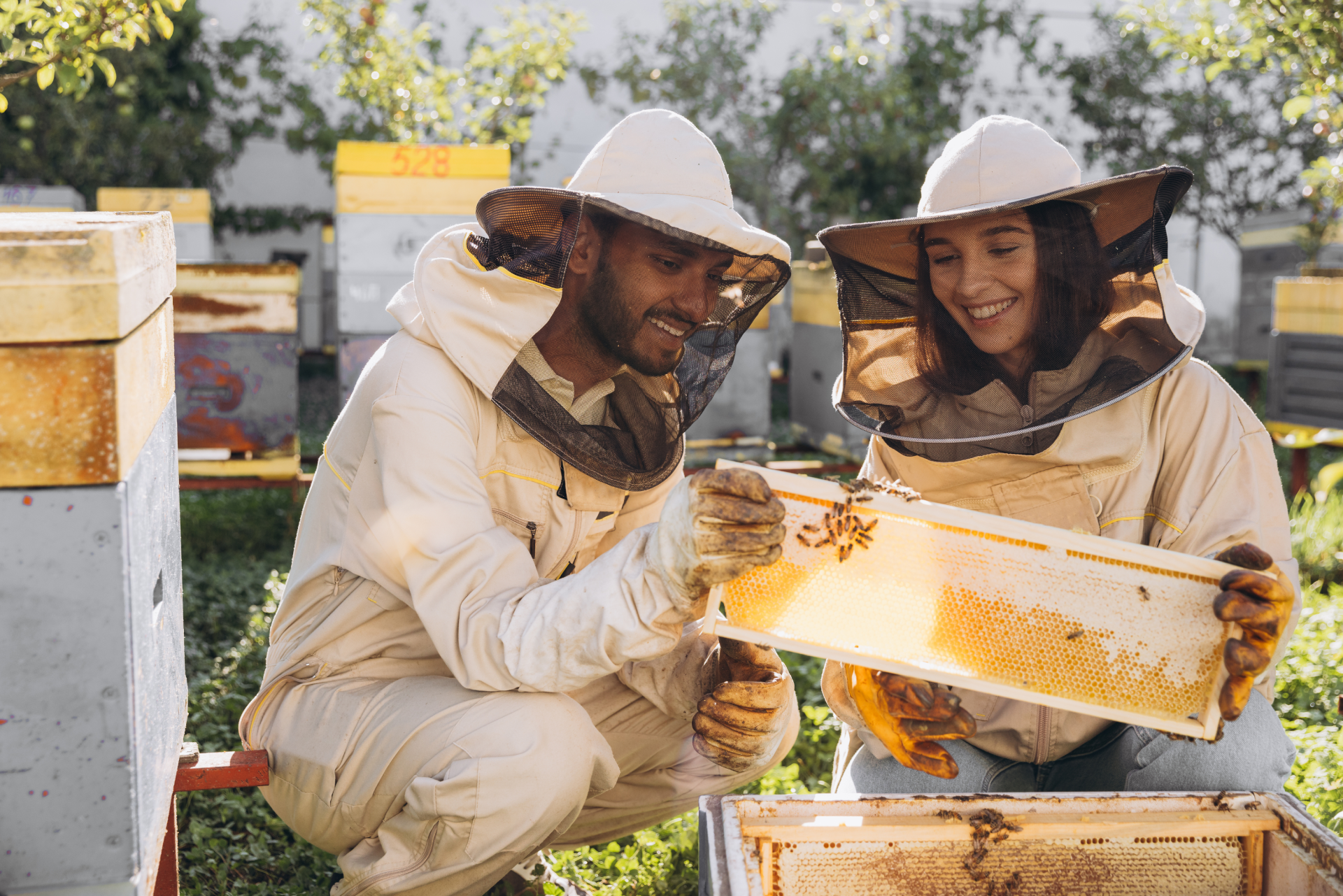 Construction de ruches, hôtels à insectes ou nichoirs